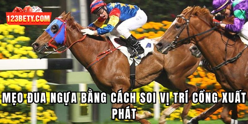 Mẹo đua ngựa bằng cách soi vị trí cổng xuất phát 